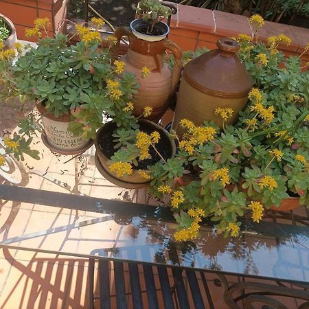 Hotel Il Giardino Nascosto Neapol Exteriér fotografie