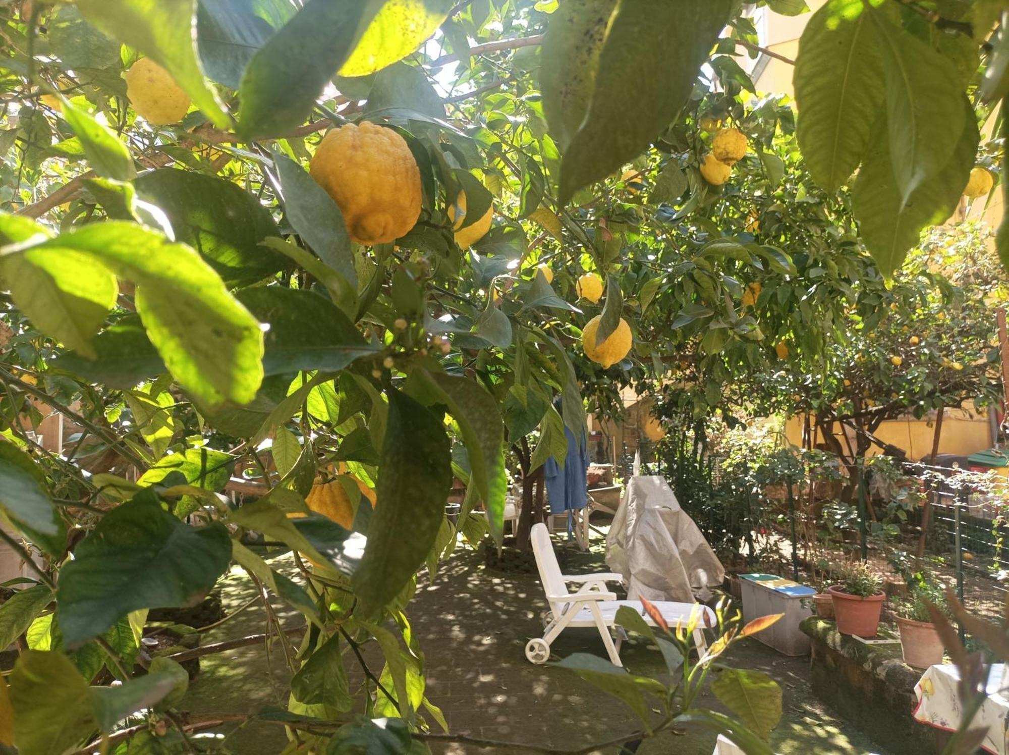 Hotel Il Giardino Nascosto Neapol Exteriér fotografie